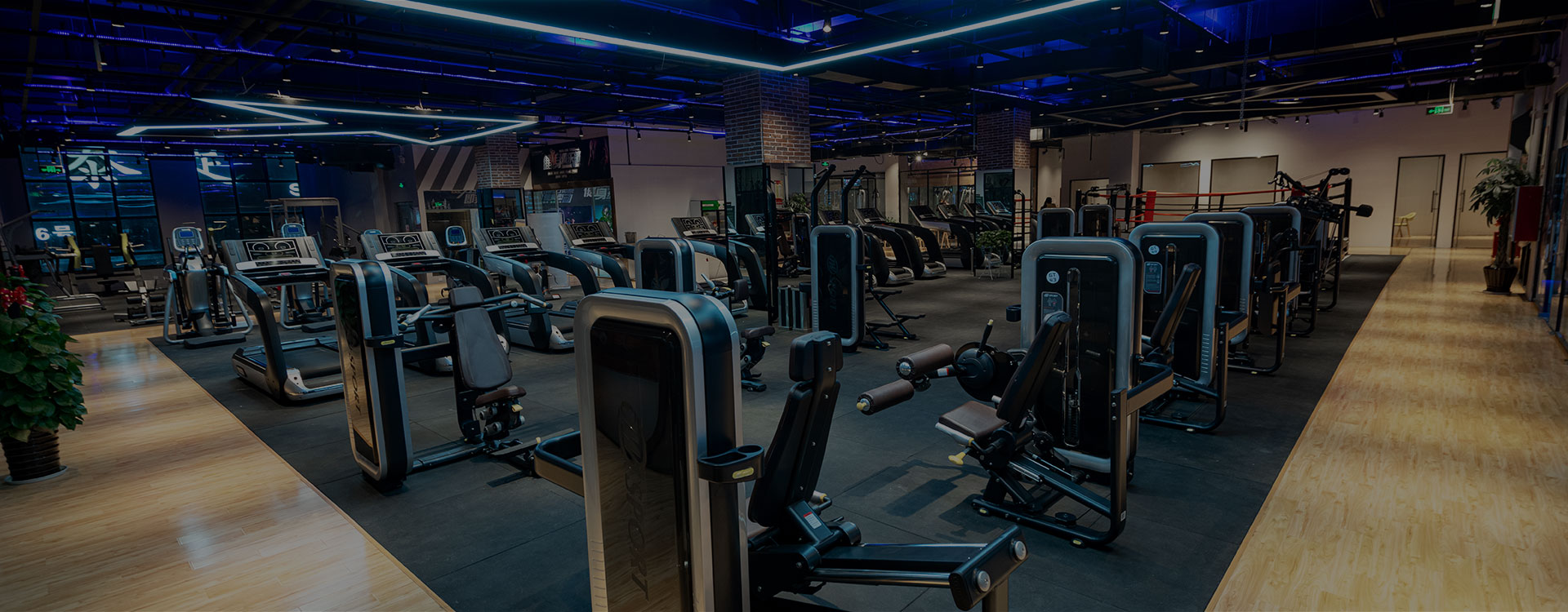 Your Trusted Fitness Equipment Partner Since 2008