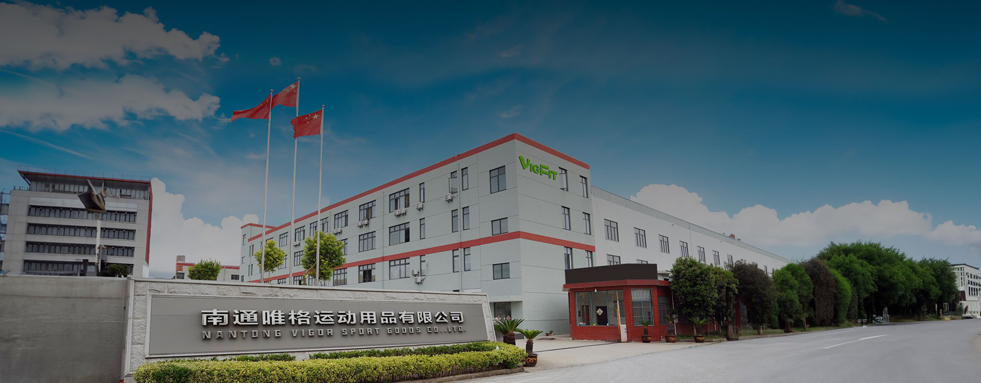 VIGOR: Vertically Integrated Leader for Premium Fitness Solutions Globally