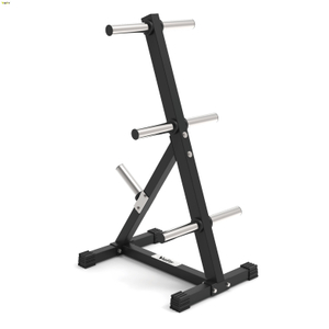 Bumper Plate Standard