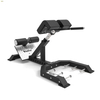 Commercial Type Back Trainer