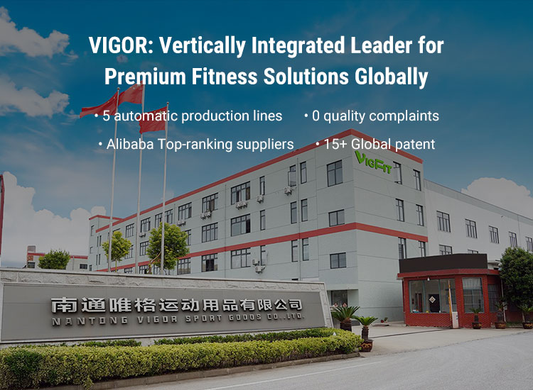 VIGOR: Vertically Integrated Leader for Premium Fitness Solutions Globally