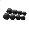 Hex Rubber / PEV Dumbbell